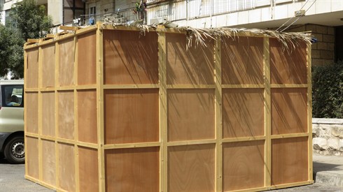 אריה מינקוב (146).JPG