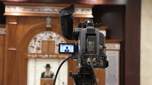 אריה מינקוב