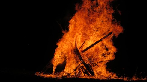 אריה מינקוב (24).JPG