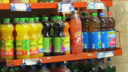 אריה מינקוב (124).JPG