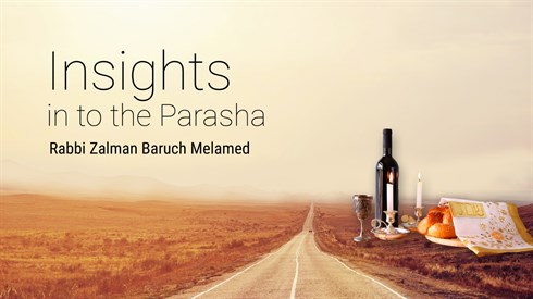 הרב זלמן - פרשה אנגלית.jpg