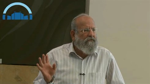 הרב אלישע וישליצקי