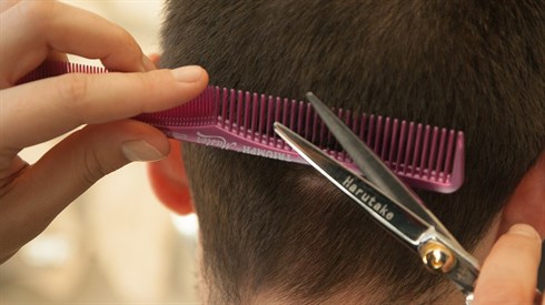 שימוש בתמונה זו נעשה בהתאם לסעיף 27א לחוק זכויות יוצרים. אם הנכם בעלי הזכויות בתמונה זו ומעוניינים שנחדול משימושה או נעדכן קרדיט מתאים, אנא פנו אלינו לכתובת: beitel@yeshiva.org.il