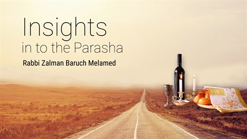 הרב זלמן - פרשה אנגלית.jpg