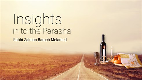 הרב זלמן - פרשה אנגלית.jpg