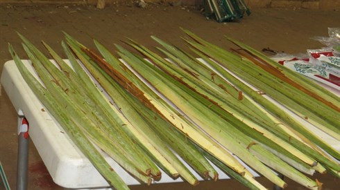 ק. אריה מינקוב (31).JPG