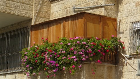 קרדיט לאריה מינקוב (16).JPG