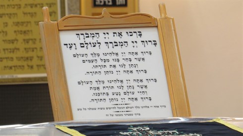 אריה מינקוב (53).JPG