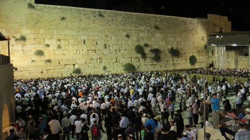 אריה מינקוב (65).JPG