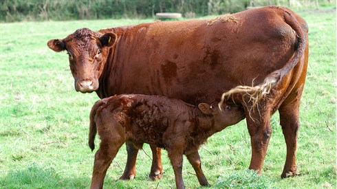 cc-by- Lawrence Wright.jpg