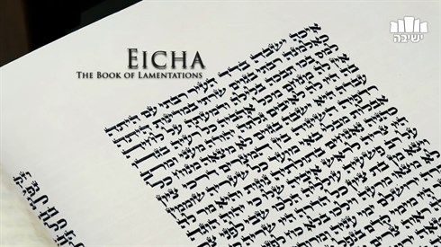 sinctisha81.jpg