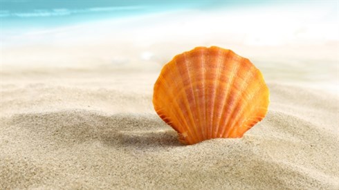 shutterstock_79202203.jpg