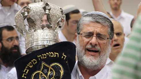 אריה מינקוב 1 (12).JPG