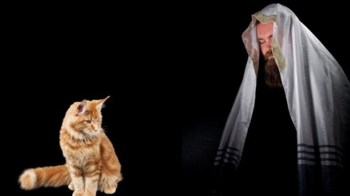 שימוש בתמונה זו נעשה בהתאם לסעיף 27א לחוק זכויות יוצרים. אם הנכם בעלי הזכויות בתמונה זו ומעוניינים שנחדול משימושה או נעדכן קרדיט מתאים, אנא פנו אלינו לכתובת: beitel@yeshiva.org.il