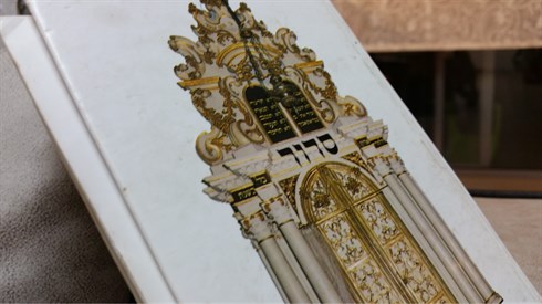 20160628_214706 קרדיט יהודה כהן.jpg