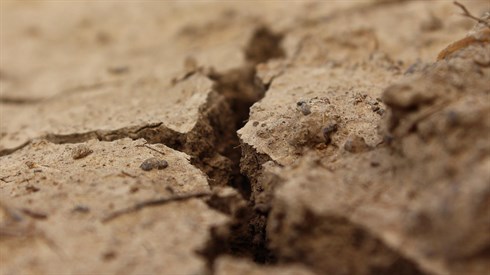 שימוש בתמונה זו נעשה בהתאם לסעיף 27א לחוק זכויות יוצרים. אם הנכם בעלי הזכויות בתמונה זו ומעוניינים שנחדול משימושה או נעדכן קרדיט מתאים, אנא פנו אלינו לכתובת: beitel@yeshiva.org.il