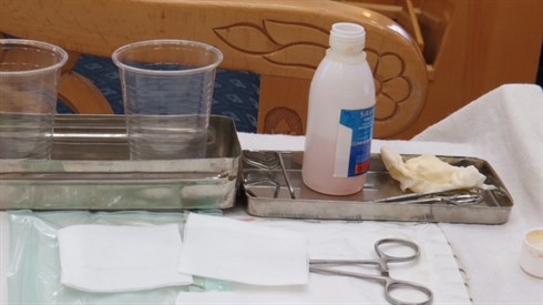 אריה מינקוב (5).JPG