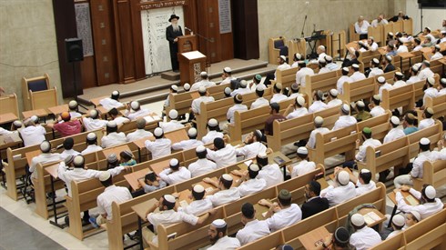 אריה מינקוב