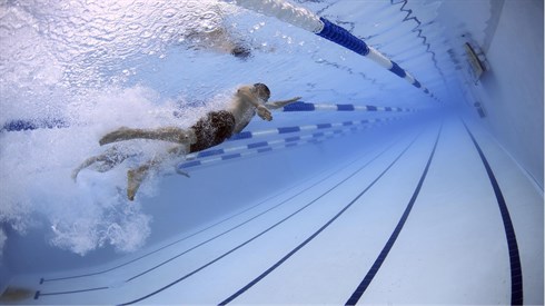 swimmers-g92228e6d5_1920.jpg