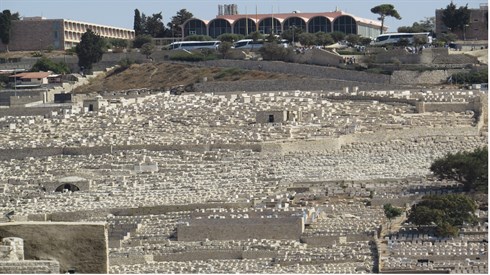 אריה מינקוב (125).JPG