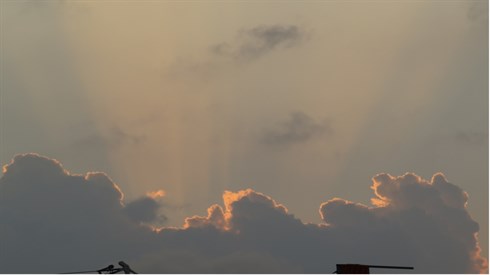 אריה מינקוב