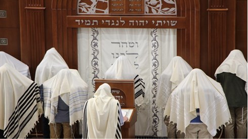 אריה מינקוב 1 (26).JPG