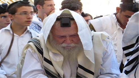 אריה מינקוב