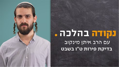 בדיקת פירות ט''''ו בשבט - תמונה.png