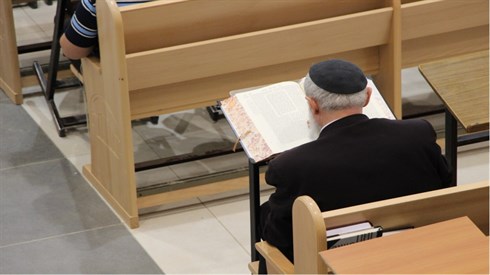 אריה מינקוב 1 (29).JPG