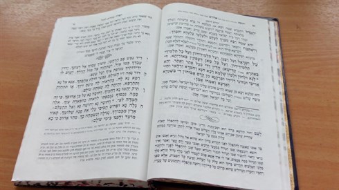 אתר ישיבה / yeshiva.co