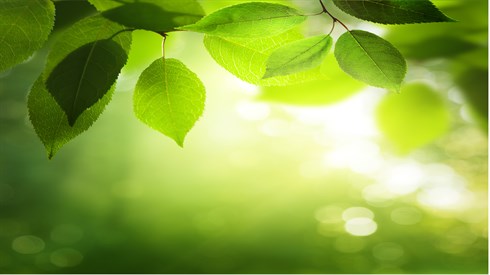 shutterstock_211917916.jpg