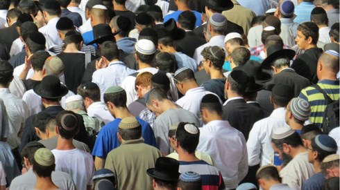 אריה מינקוב (44).JPG