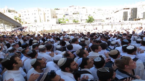 אריה מינקוב (187).JPG