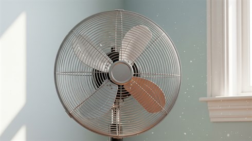 Gemini_Generated_Image_3t7ae83t7ae83t7a.jfif