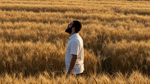 גבר בשדה.png