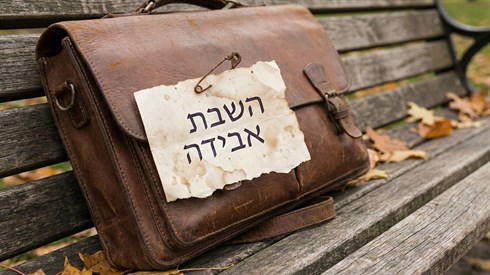 Gemini_השבת אבידה.png