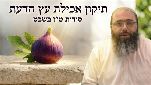 סודות טו בשבט תיקון אכילת עץ הדעת.png