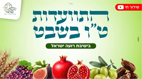 צילום מסך 2026-02-01 204341.png