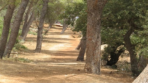 אריה מינקוב &nbsp;טיול (45).JPG