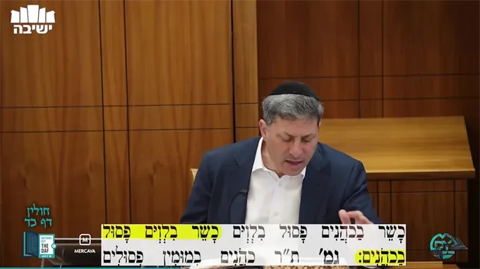 Daf Yomi Chulin Daf 24