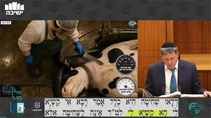 Daf Yomi Chulin Daf 30