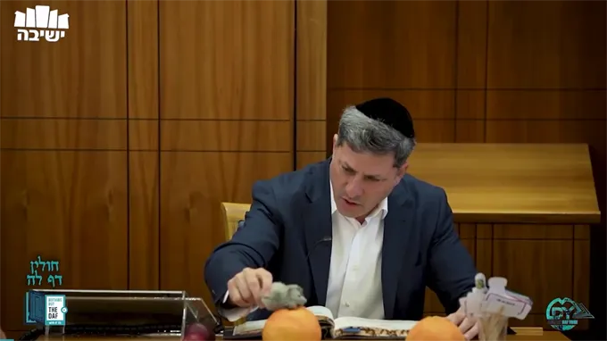 Daf Yomi Chulin Daf 35