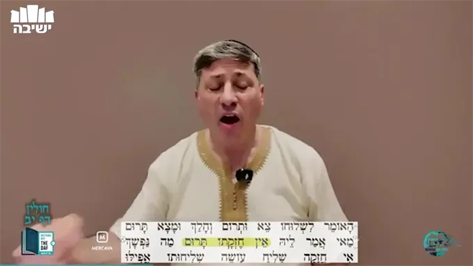 Daf Yomi Chulin Daf 12