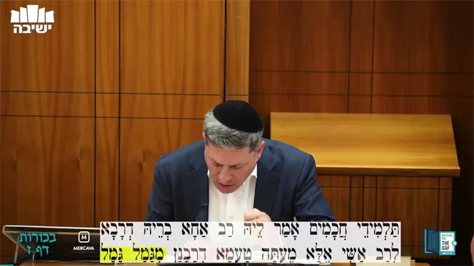 Daf Yomi Bechoros Daf 7