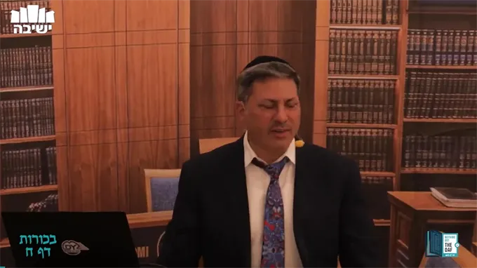 Daf Yomi Bechoros Daf 8