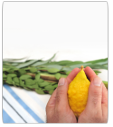 Sukkot