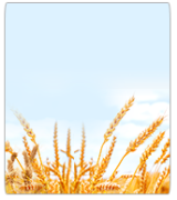 Shavuot