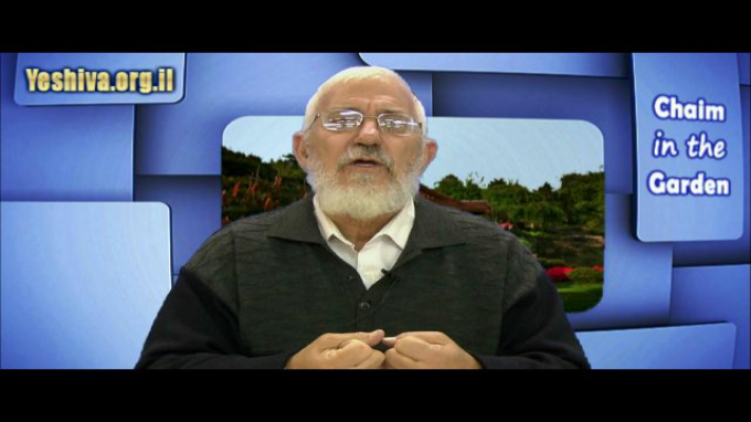 Prayer and Torah Learning