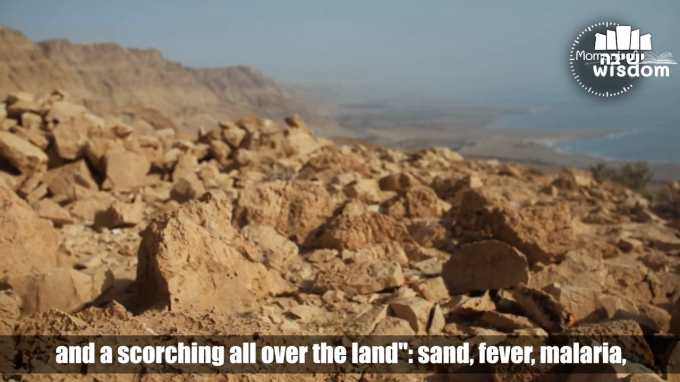 Purity, as a condition of entering the Land of Israel