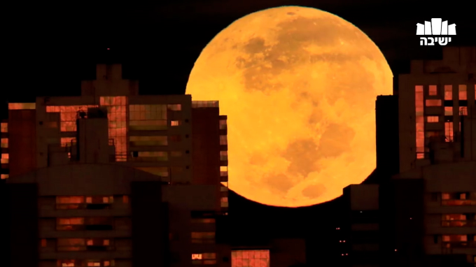 The People of the Moon